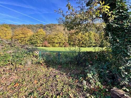 IMG_9696 3 - Grundstück in Konz