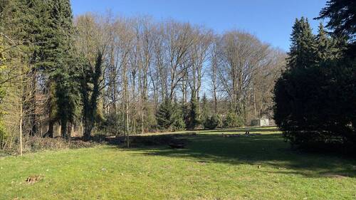 Impressionen des Parkgrundstücks_8.jpg - 