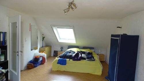 .Zimmer DG - 