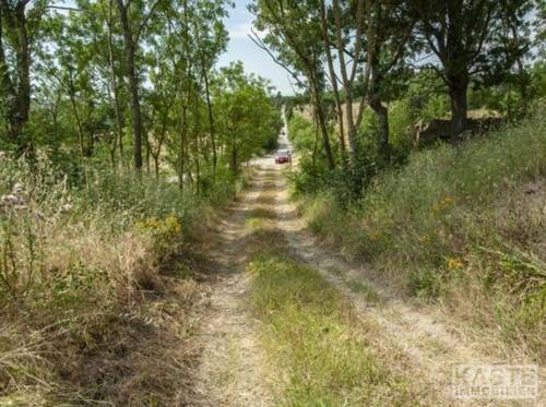 Garten - 