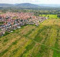 Doppelhaus oder Einfamilienhaus? Hier findet Ihr Wohntraum einen Platz. - Muggensturm