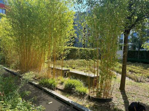 Innenhof im Sommer - 