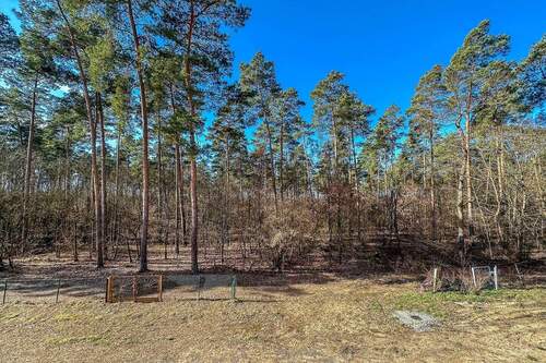 Ausblick Garten Richtung Wald - 