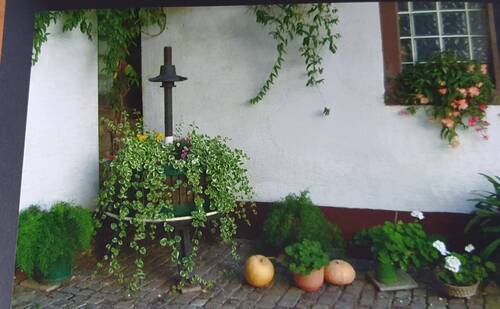 Impressionen Innenhof - 