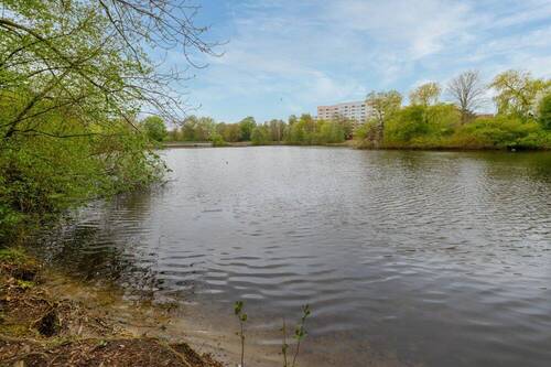 Appelhoffweiher - 