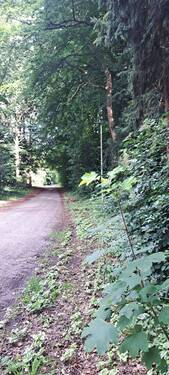 der Weg vor dem Grundstück - 