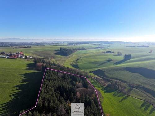 Waldverkauf-ostallgaeu_02.jpg - Grundstück zum Kaufen in Eggenthal