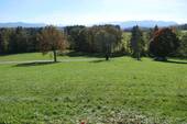 01-Grundstück - Grundstück mit Weitblick (kein Baugrundstück)