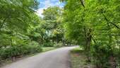 Nachbarschaft - 