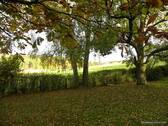 Bild 18 - 