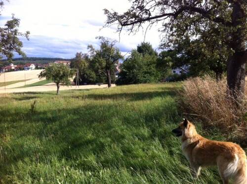Bild 32 - 