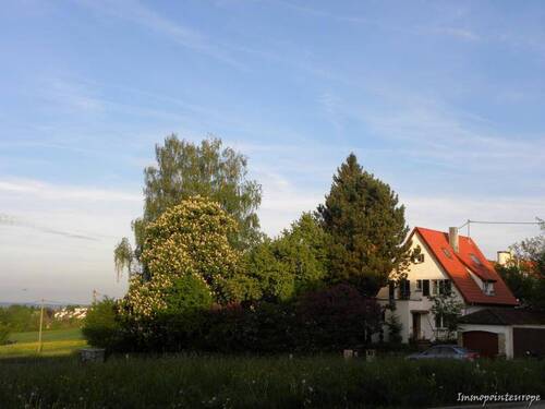 Bild 33 - 