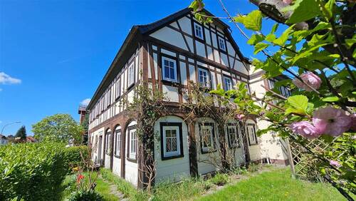 Blumen überall (2) - 