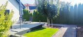 Spitzahorn - 