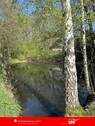 Teich - Den Sommer im Grünen genießen! - 30.000,00 EUR Kaufpreis, ca.  0,00 m²