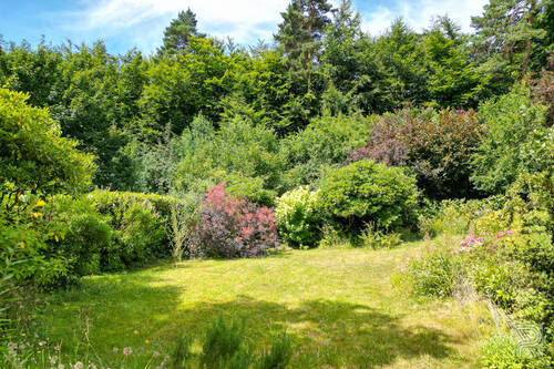 Garten trifft Wald - 