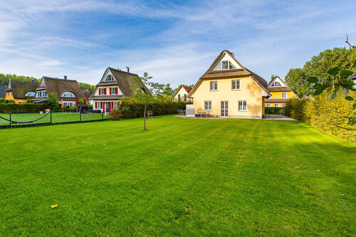 Sattgrüner Rasen - 
