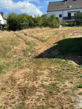 4 Bis zum Zaun - Grundstück in Serrig zum Kaufen