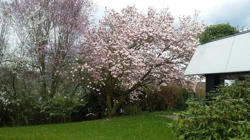 "eigener" Garten - 3 Zimmer Terrassenwohnung zum Kaufen in Bonn