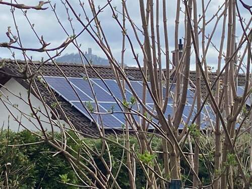 Blick auf den Drachenfels - 