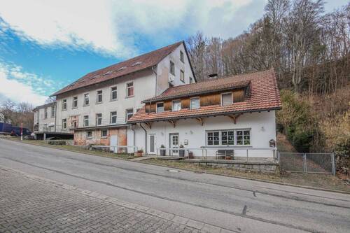 IMG_7687 - 6 Zimmer Mehrfamilienhaus, Wohnhaus zum Kaufen in Görwihl