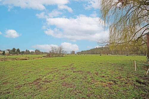 weitere Fläche zur Pacht möglich - 