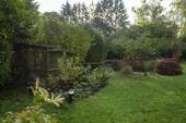 Gartenimpressionen - 