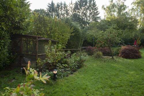 Gartenimpressionen - 