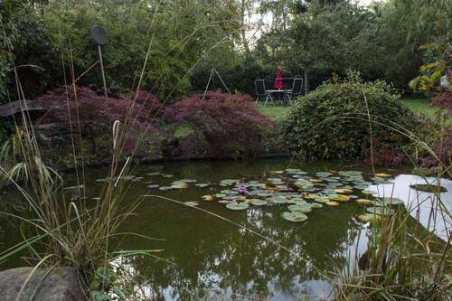 Gartenimpressionen - 