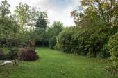 Gartenimpressionen - 