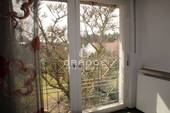 Wohn-/Galeriezimmer Blick in den Garten - 