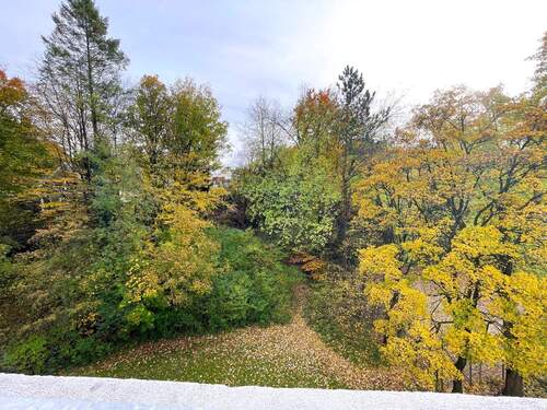 Aussicht - 3 Zimmer Etagenwohnung in Bergisch Gladbach
