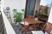 Ihr Platz an der Sonne - 