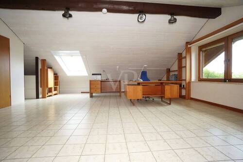 Dachstudio - 