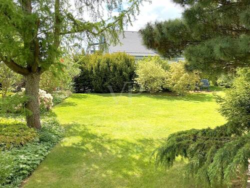 Blick in den Garten - 