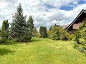 Blick in den Garten - 