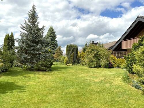 Blick in den Garten - 