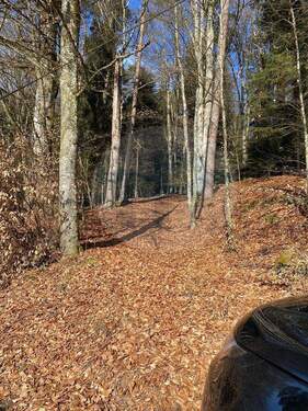 Wald 1 - Grundstück zum Kaufen in Auerbach