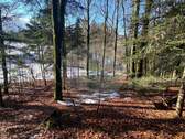 Wald 4 - 