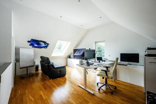 DG Studio - 