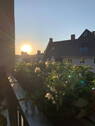Bild 16 - 