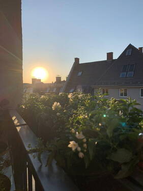 Bild 16 - 