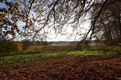 Billetal.jpg - Mehrfamilienhaus, Wohnhaus in Trittau
