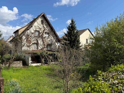 Garten - Einfamilienhaus in Leimen