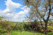 Blick - 