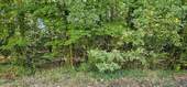 Ansicht 06 - 