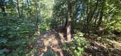 Ansicht 09 - 