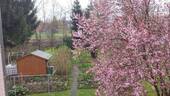 Balkonblick / Garten - 