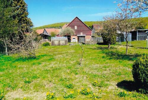 Gartenansicht - 