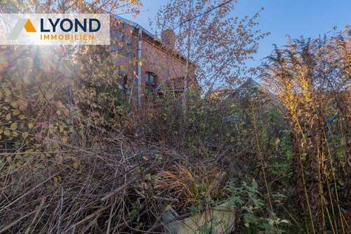 Stallung im Garten - 